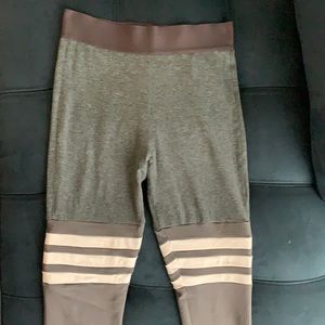 Bombshell sportswear thigh highs “shark”